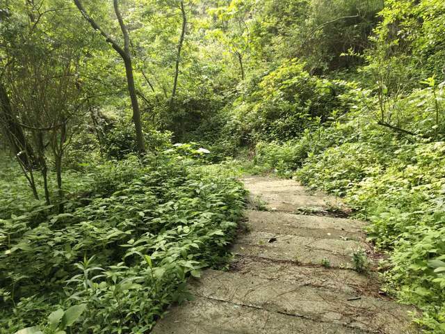 他来到灵墟山,住进了山腰间的山洞,一边诵经修道,一边苦练"九丹.