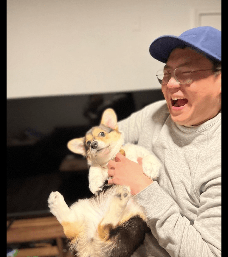 视而不见男主人抱着柯基撸狗，他们的表情有着鲜明对比，原谅我不厚道笑了