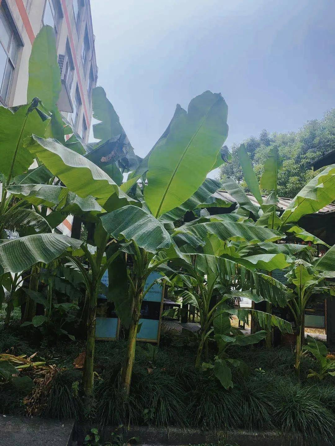 公主 “开箱”来袭！把震旦穿在身上，秋季“新衣”大揭秘