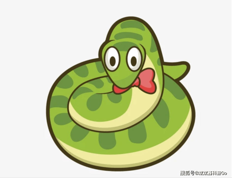 蛇是怎么睡觉的动画视频 496026ac311e42dbb1911f6b0242296a.png