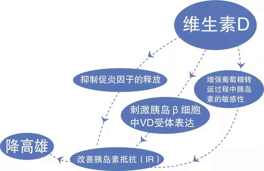 高雄激素狀態,改善月經週期,並參與胚胎植入過程,改善子宮內膜容受性