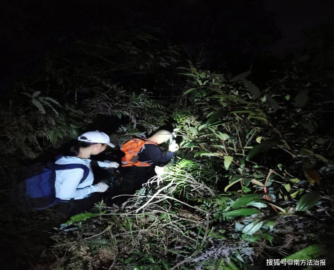 茂名高州：驴友被困山顶，警民深夜营救