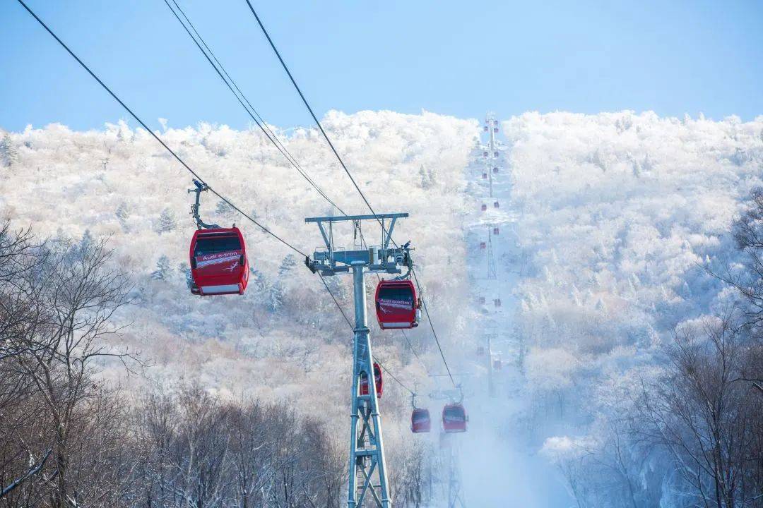 滑雪|吉林邀您滑粉雪 到底啥才是粉雪？