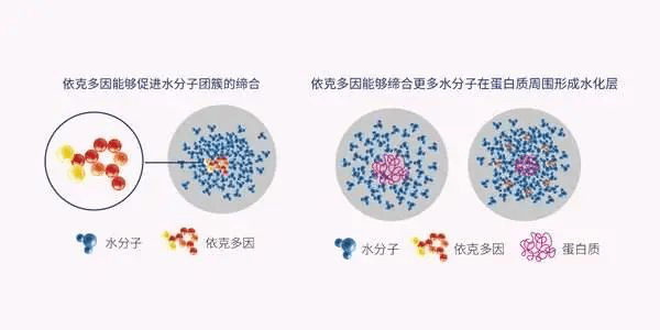 能力如果你也常常熬夜，一定要看看这个！