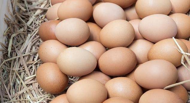 大脑|每天早起一个煮鸡蛋，坚持一个月，这3个好处或许“登门拜访”！