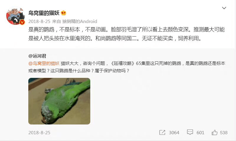 5f585b736cd44ae8b83a802531389972.png