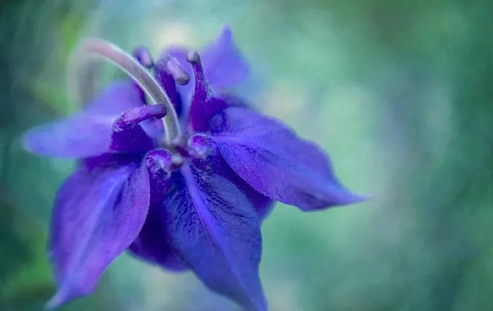 格力电器终于双休了,但工人工资收入会减少吗?-家电圈官网