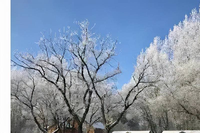 延安|净月潭滑雪场开板 一起约一段“冰雪奇缘”吧！