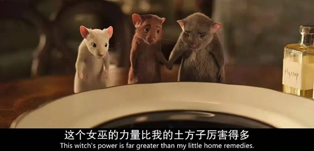 安妮·|《女巫》？不如叫做女妖更贴切