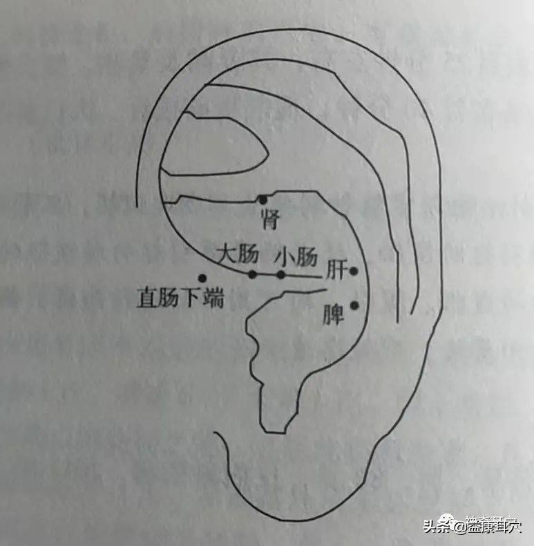 益康耳穴為什麼會大便失禁中醫耳穴有什麼好方法治療