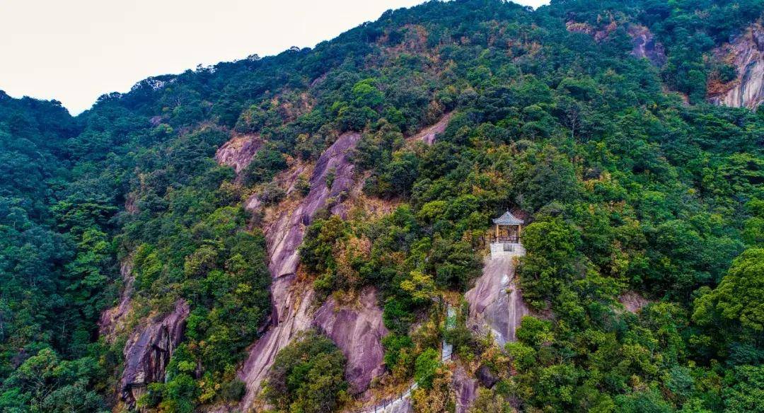醉美惠州乡村旅游系列攻略龙门篇