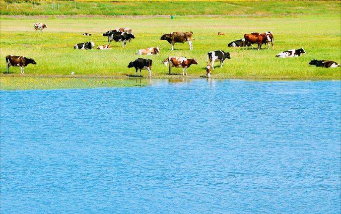 内蒙古一美丽草原、风景优美、水草丰美，还是游牧民族的发祥地