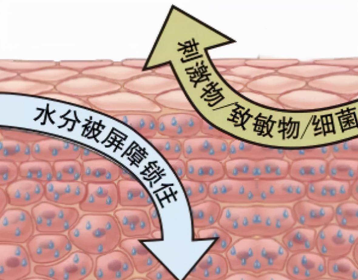 易敏皮肤易敏的女生，建议掌握这些“护肤小技巧”，让你不做大红脸