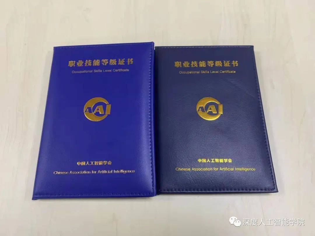 《人工智能职业技能等级证书》已经开始认证的证书有计算机视觉方向的