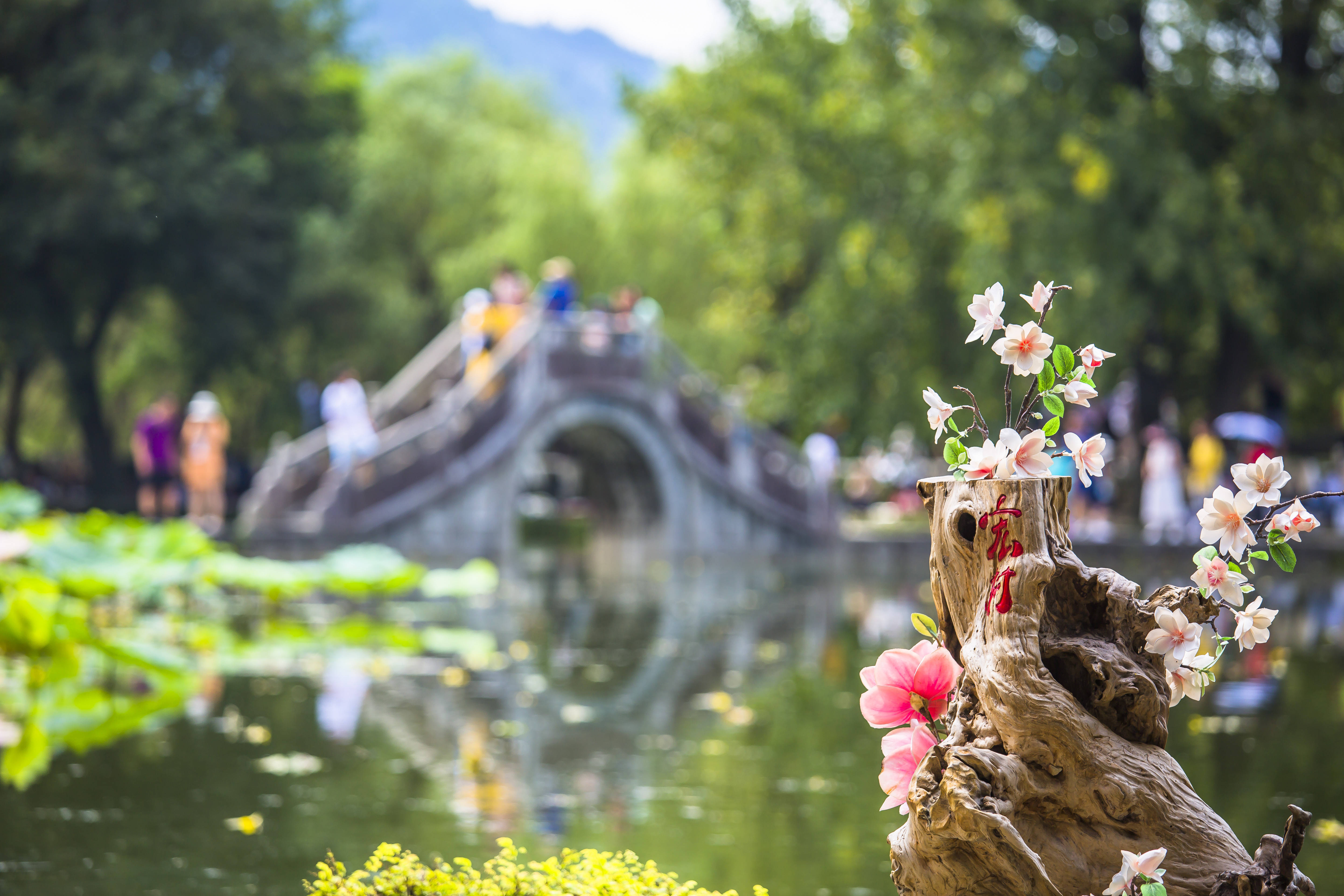 古镇|国内适合女人旅行的八大古镇，风景迷人，环境优美，你去过几个？