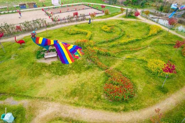 休闲地|淮北双楼花海你知道吗，和高岳现代示范区在一起，好大一片好漂亮