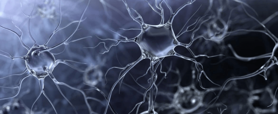 去腥|酒在中医眼里能带来什么影响?