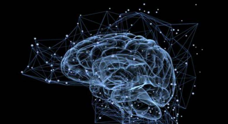 晚上做梦梦见被蛇咬，潜意识中的警示与内心冲突的解读