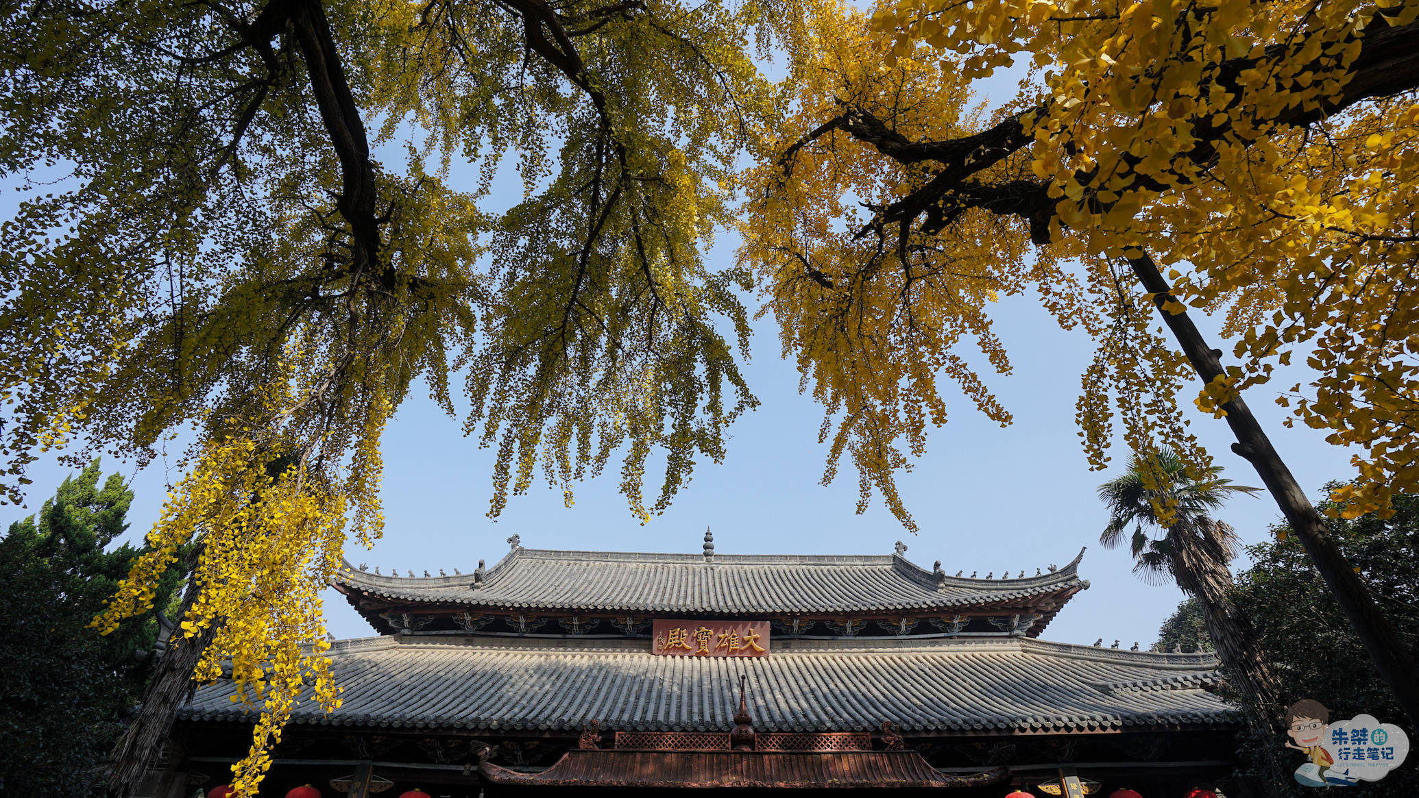 原创江淮著名的千年古刹 位于国家历史文化名城 是安徽最美银杏观赏地