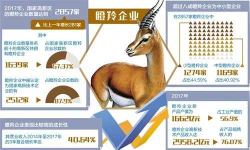 跑得快跳得高威勝達環保入選2021年省獨角獸瞪羚企業名單