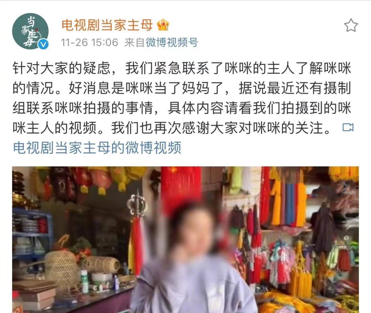 蒋勤勤|这届网友不好哄，《当家主母》已报案，澄清视频却搞错了猫的性别