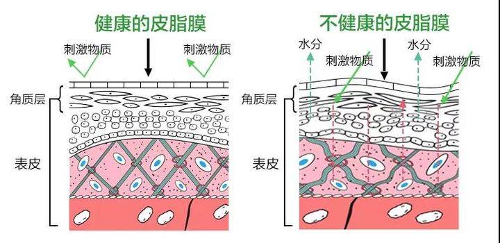 因为拯救冬日的美，除了穿搭要气质，妆容这一点也不能忽略