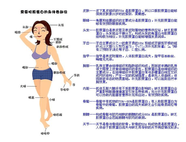 泳池为什么明星满脸的胶原蛋白 她们是怎么做到的