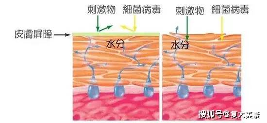 护肤品复大美素：这7个“护肤常识”，正在一点点毁掉你的脸！千万别再相信了！