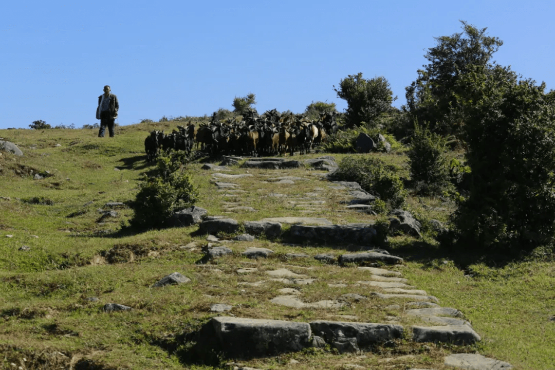 古道|【国家AA级景区】腾冲腾越玉璧景区