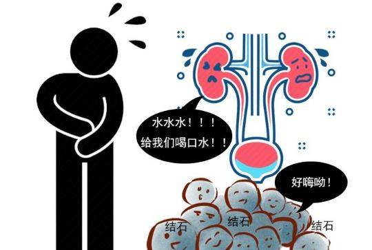 肾脏|5类食物常吃可能易诱发“肾结石”，知道是哪些，生活中可避免