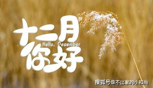 6a672cf8a39740c282ff617420fb031a.jpeg