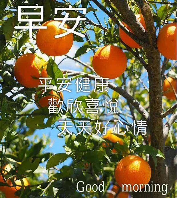 原创12月最新早上好动态表情水果图片祝福语12月特别好看的问候动态