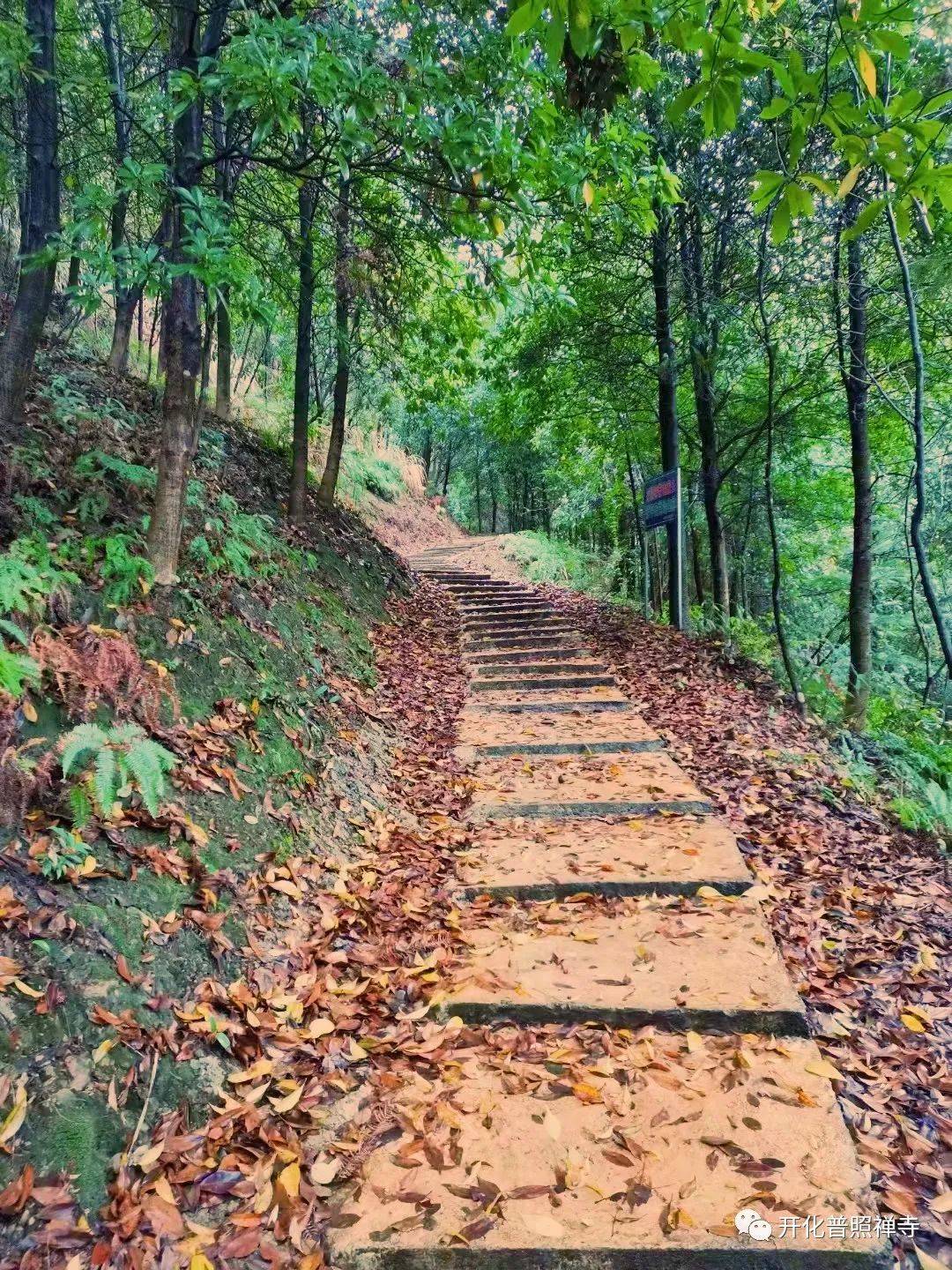 聚气为泉坐拥群峰开化普照禅寺