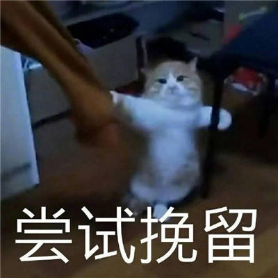 热门的尝试挽留表情包_包来_经典_个性