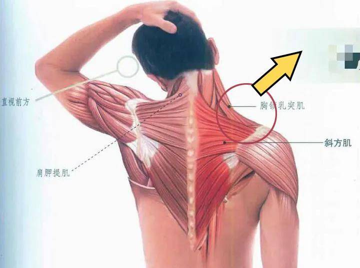 美人50岁的年龄，25岁的体态，值得吗？