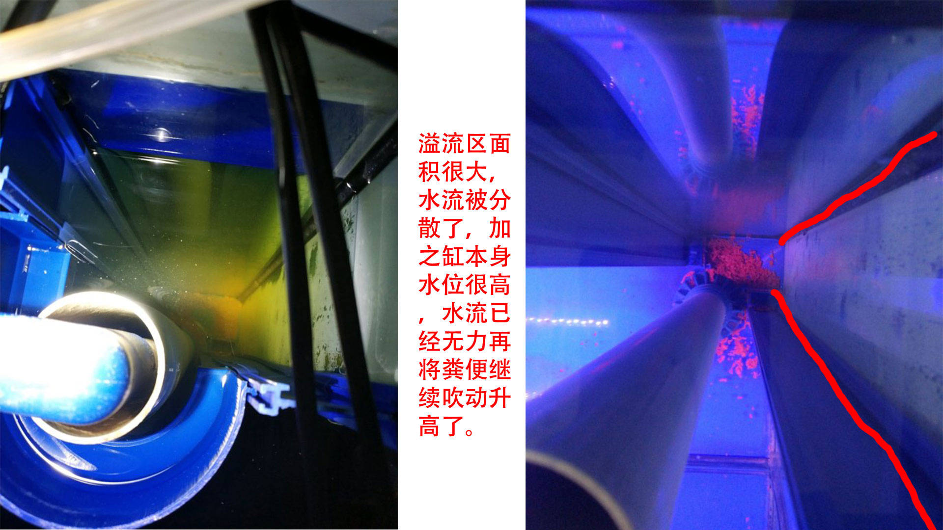 森森鱼缸溢流区藏粪便怎么办