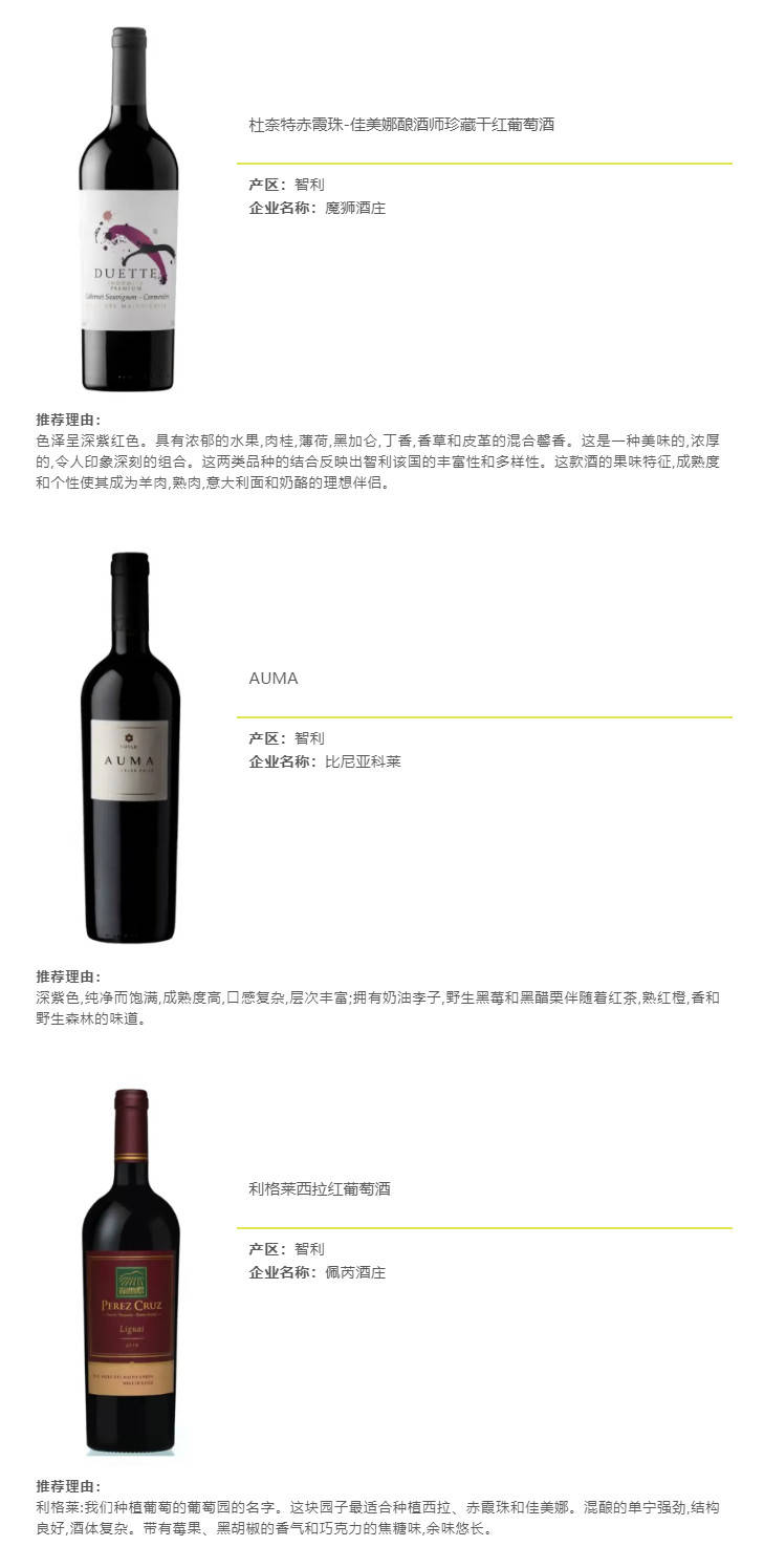 卢大炜|「见新·见智」92+智利高分酒,带你一览智利佳酿!(下)