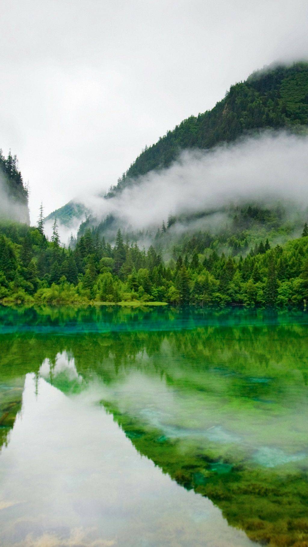 流年里有多少故事错过了花季错过了雨季错过了整整一个曾经