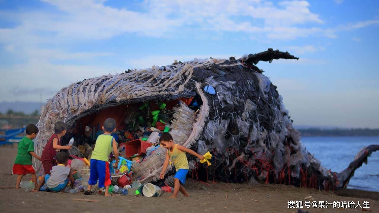 原創大象成群在垃圾場覓食每日進食幾噸垃圾為何落得如此下場