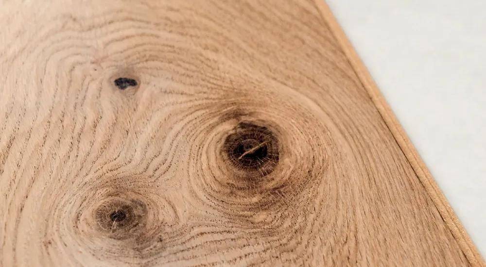 树木_死节_木材