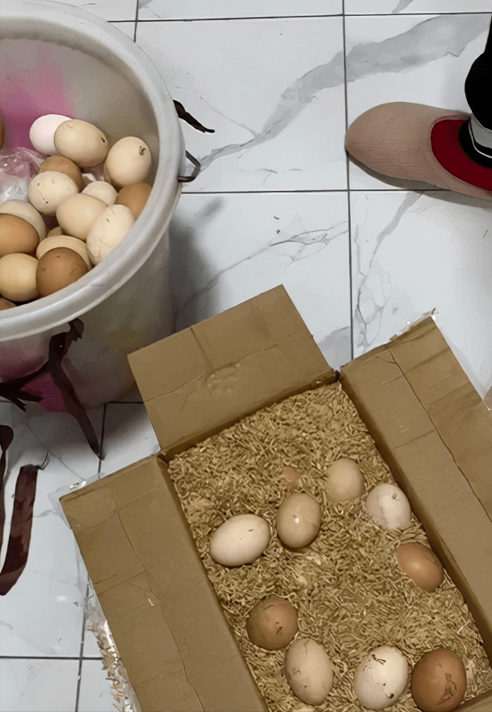 婆婆从老家买了20斤鸡肉,10斤鸭肉和60斤土猪肉,还有150个土鸡蛋