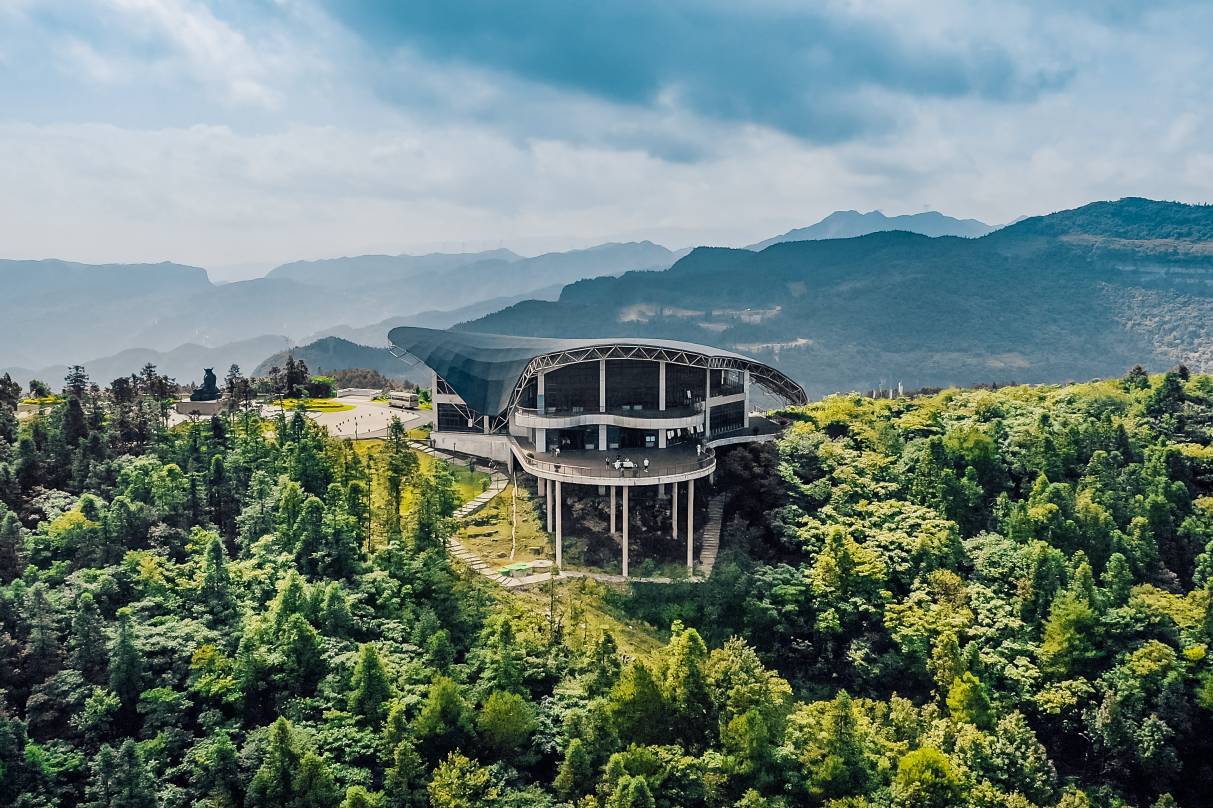 武隆旅游:涪陵籍居民免费游武隆白马山_景区_情缘_茶园