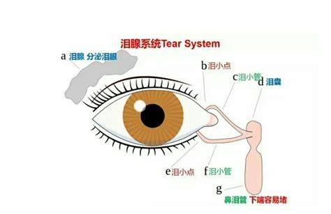 a4e108937f5d443aa52c3fe18211c1db.jpeg