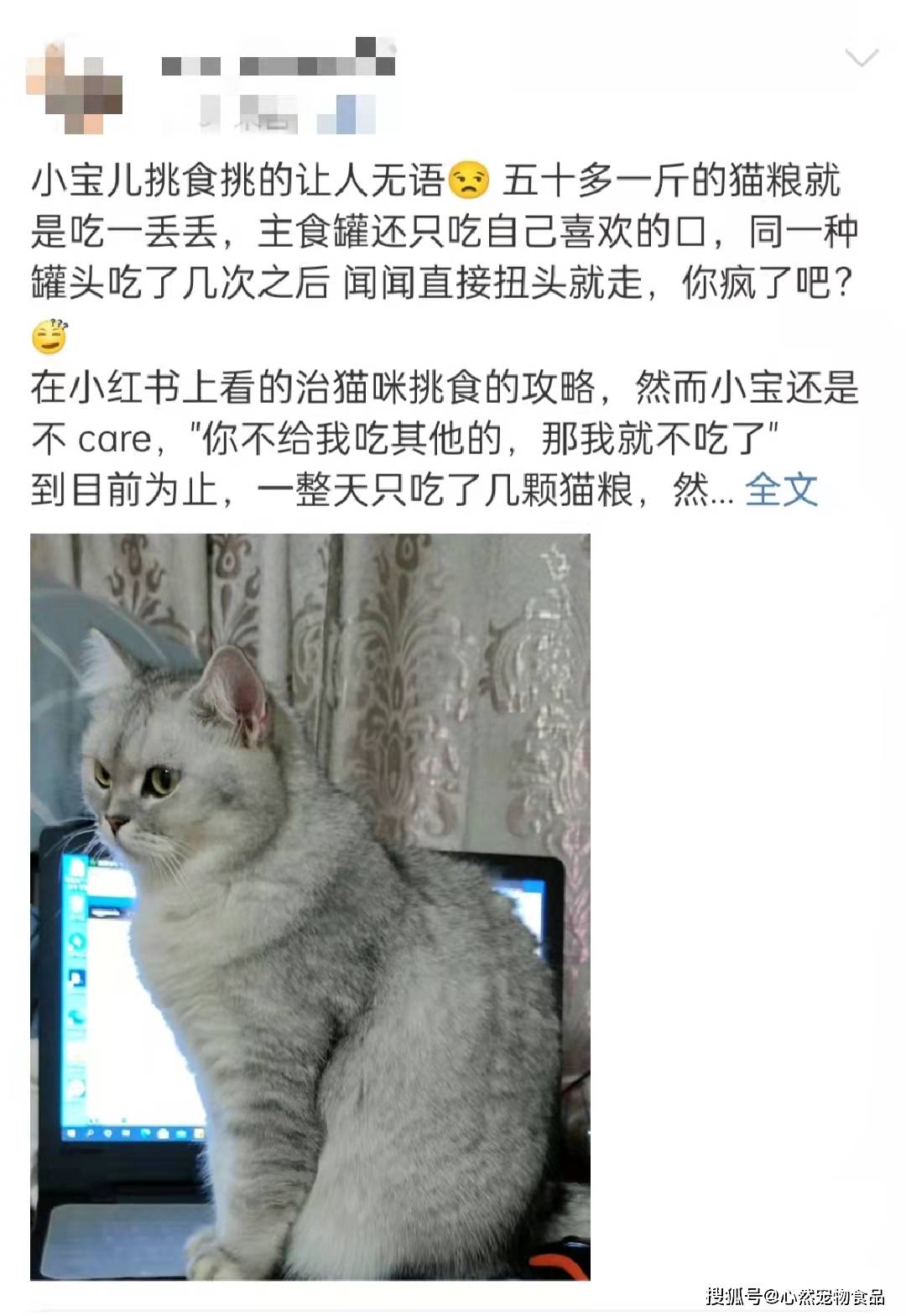 猫咪|主食包居然藏着小秘密？