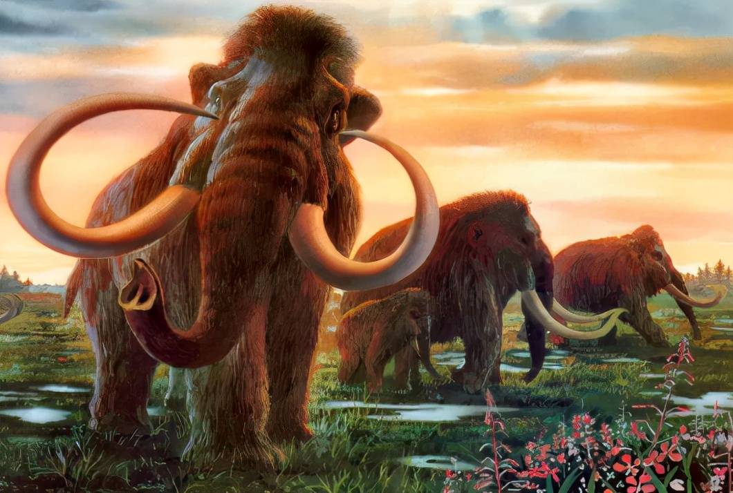 6年内复活已经灭绝了4000多年的长毛象,真的能做到吗?