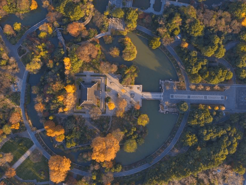 航拍常州红梅公园 银杏金黄古色古香