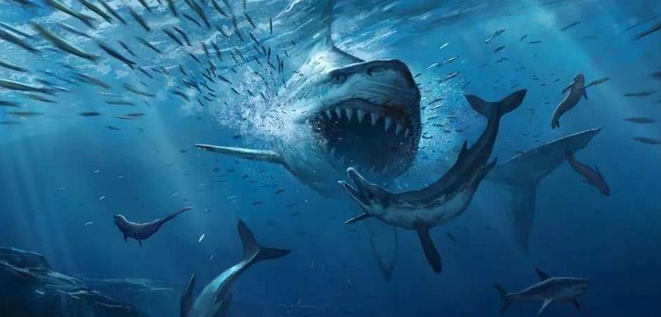 地球史上出现的巨齿鲨