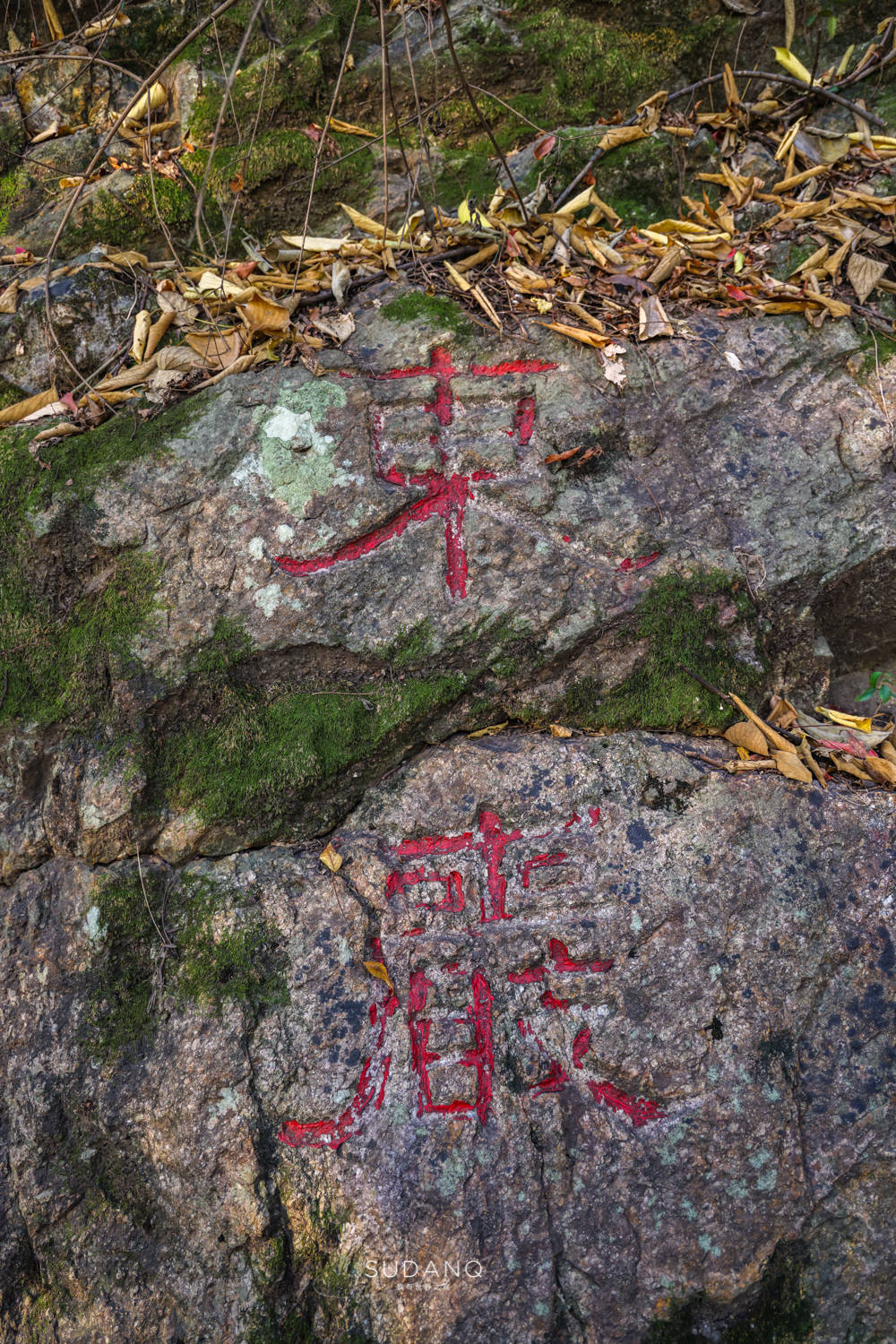 佛门|武汉的这座古寺曾被10位皇帝护持过，已有1600多年历史，门票10元