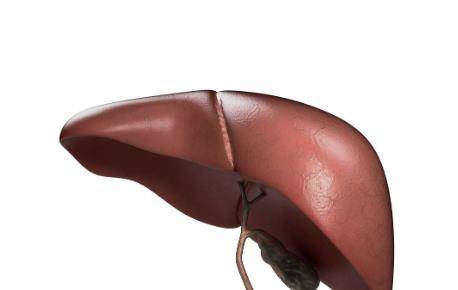 肝脏|79岁院士研究肝病造诣深：肝硬化不可怕，坚持3个习惯养肝护肝