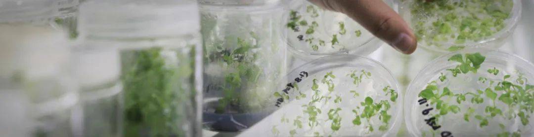 神秘、新奇的?重点实验室究竟是做啥的？今天为你揭秘